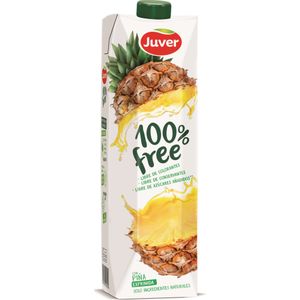 PINEAPPLE 100% FREE PR.10X1L*JUVER