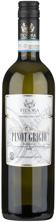 PINOT GRIGIO DOC VENEZIA