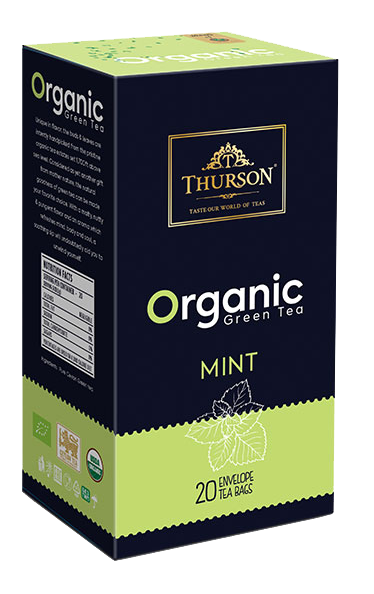  ORGANIC GREEN TEA WITH MINT 20 TEA BAGS